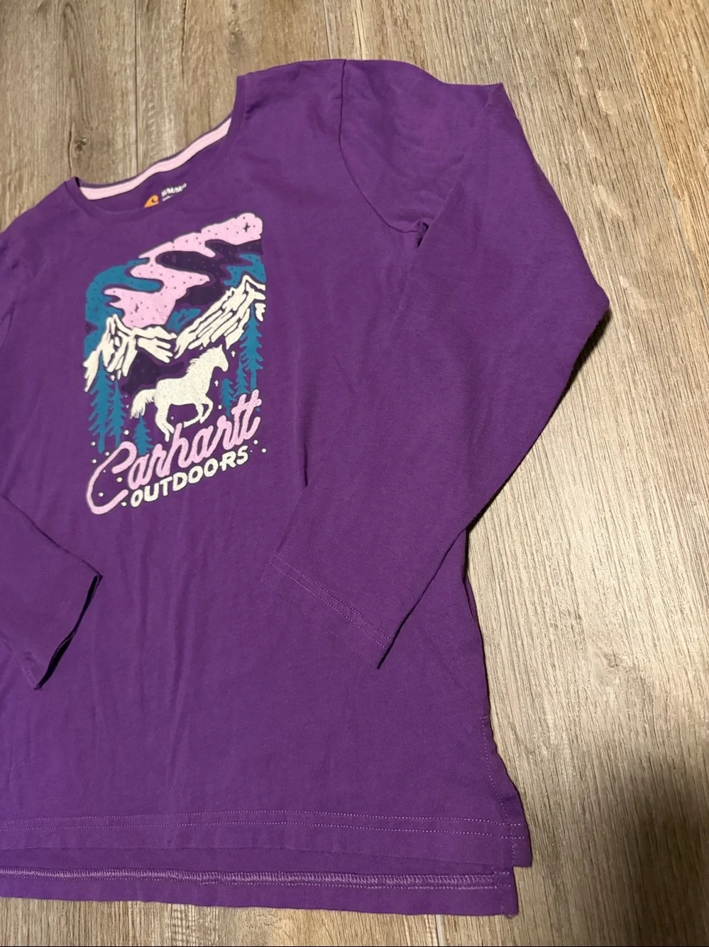 Carhartt Purple Long Sleeve Tee with Pink, Teal, White Graphic